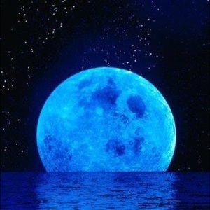 Meet your Posher, Bruce